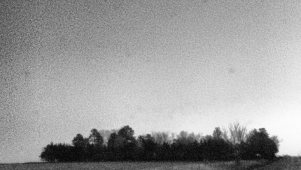 photo by madi lousch
