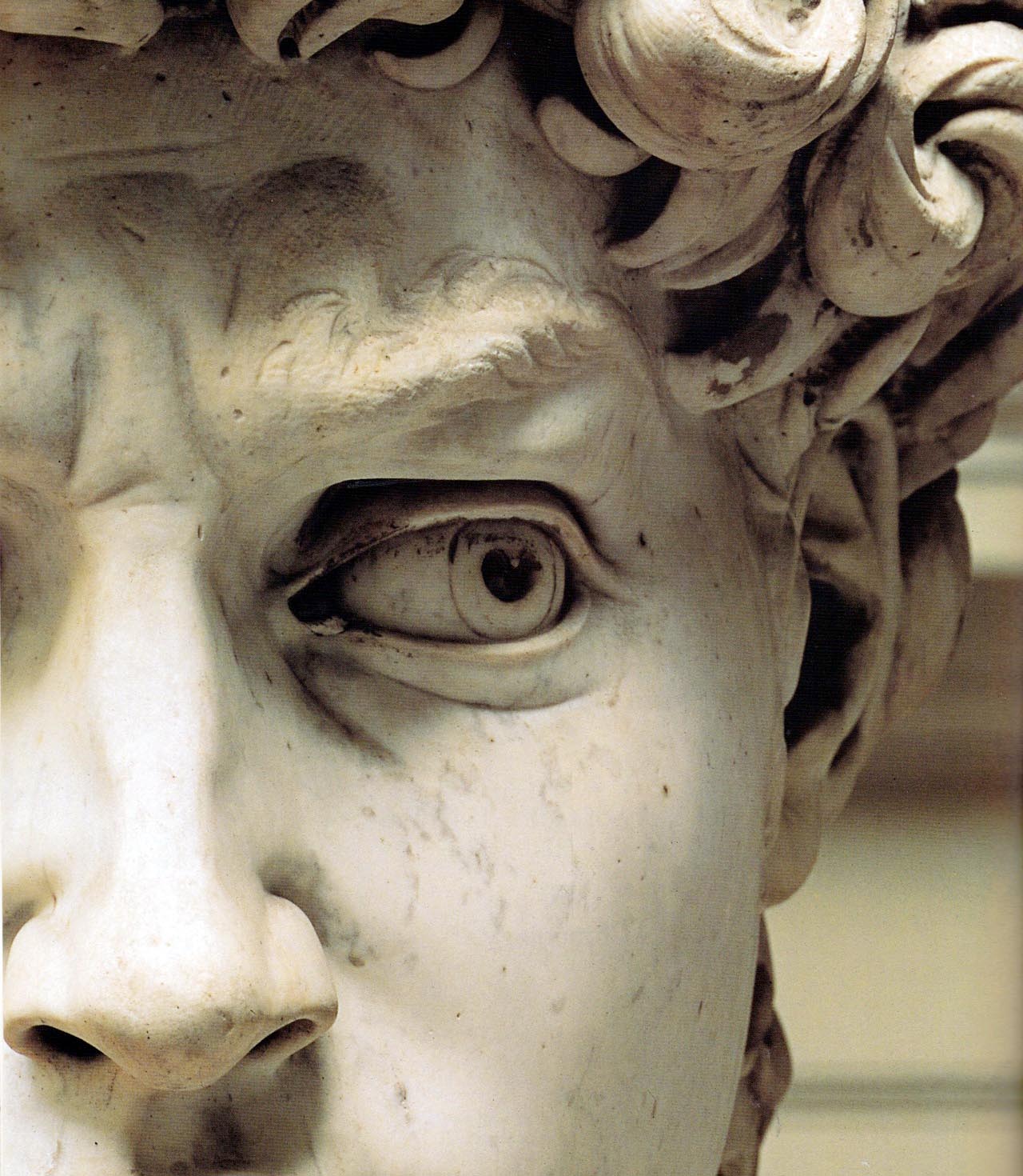 Are absolutely michelangelo s david happens Thanks michelangelo s david good piece