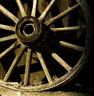 Social Justice Article - Wheel